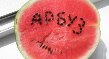 Škody a přínosy melounu pro zdraví žen, mužů a dětí, vlastnosti a obsah kalorií